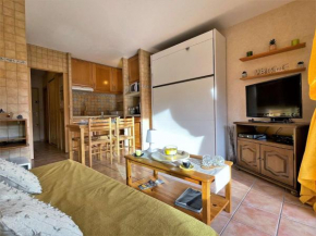 Studio au pied des pistes pour 4 avec Wifi, parking et animaux admis - FR-1-525-181